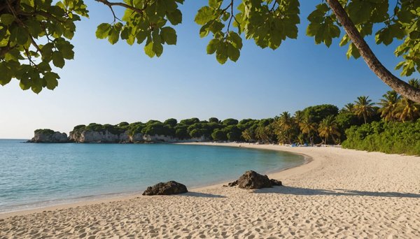 Séjour nature sur l'île de ré : pourquoi choisir les grenettes ?