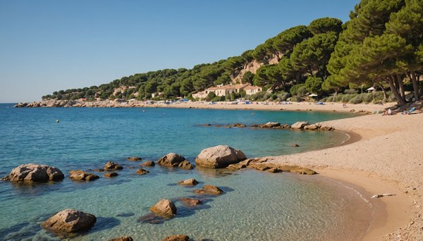 Top des idées d'activités pour des vacances en famille dans la manche au bord de la mer